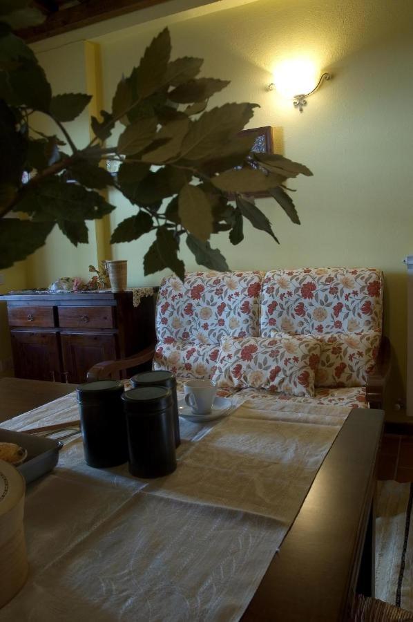 Agriturismo La Burraia Vicino A San Gimignano ガンバッシ・テルメ エクステリア 写真